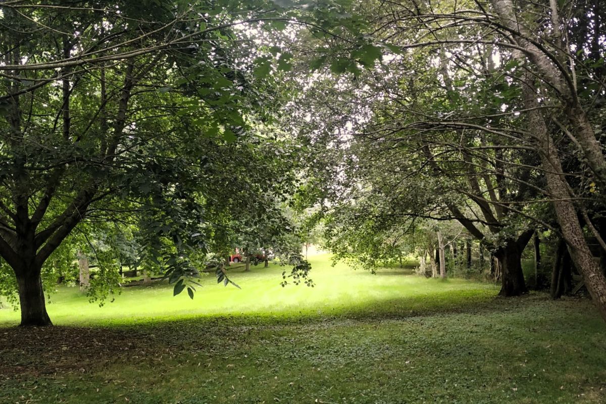 Finca