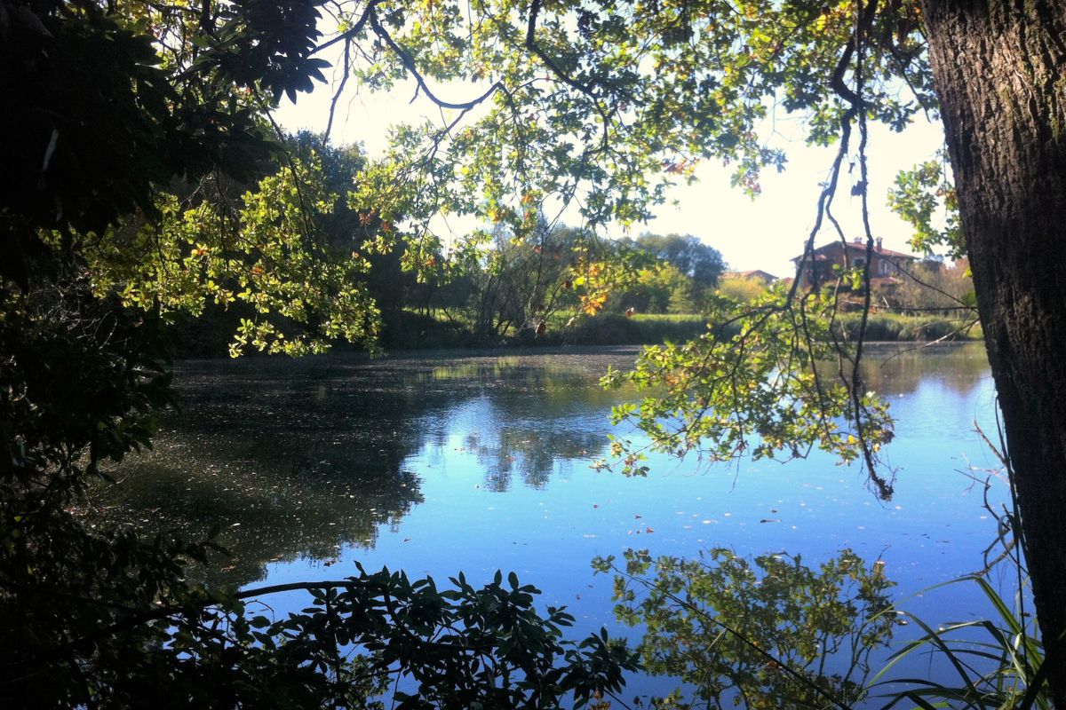 laguna